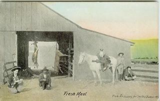 Postcard Hunting Van Horn Texas Fresh Meat C1915