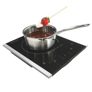 Frigidaire Gallery Portable Induction Cooker Burner