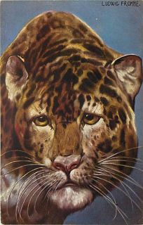 Artist Signed Ludwig Fromme Leopard R68665