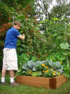 veggie wall raised garden trellis kit 48 sq ft