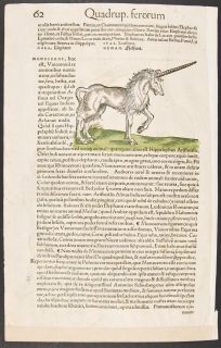 Gesner 1560 Framed Folio Woodcut Elephant Unicorn 61