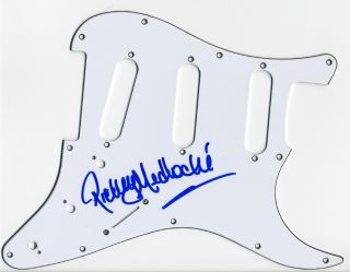 Rickey Medlocke LYNYRD SKYNYRD Autographed Signed Guitar Pickguard