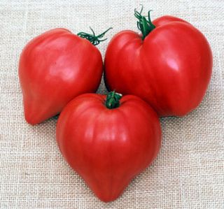 Tomato Seeds Jacks Giant Oxheart Organic Heirloom