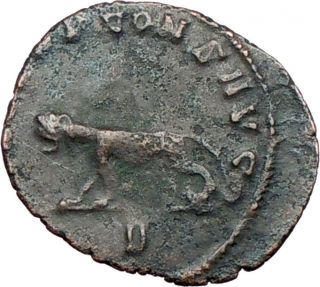 Gallienus 267AD RARE Authentic Ancient Roman Coin Panther
