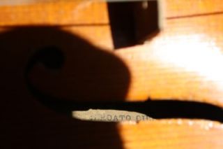 Vintage Violin Labeled: Gennaro De Luccia 1925