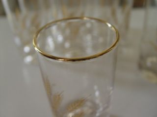 Vintage Gold Banded Wheat Pattern Juice Glasses 8