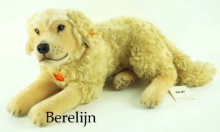 Steiff Hektor Golden Retriever Dog 031755 Retired