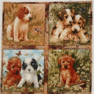 Giordano Puppy Quilt Squares 5 75 x 5 625 Blocks Cavalier Maltese