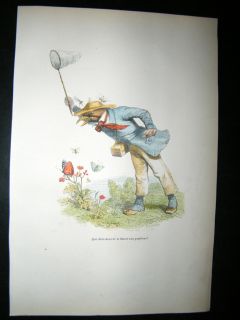 Grandville Des Animaux 1842 Hand Col Print Butterfly Catching Bird