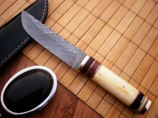  custom hand made Damascus knife CAMEL BONE BUFFALO HORN AND WOOD HANDL