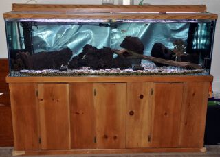 125 Gallon Glass Fish Tank and Stand