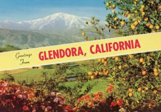 Glendora California Winter in Southern California Unused Postcard