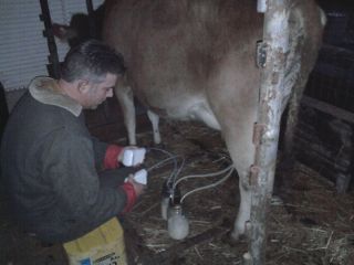 Milking Machine Goat or Cow Home Dairy Helper
