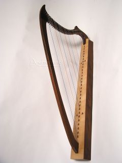 New High Quality 29 String EMS Gothic Harp Medieval Renaissance
