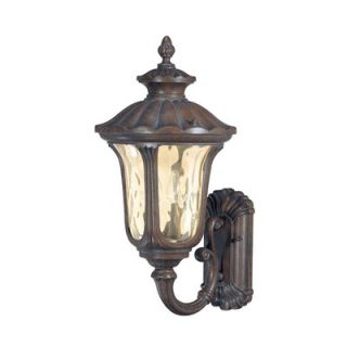Livex Lighting Hamilton 20 Outdoor Wall Lantern with Clear Water