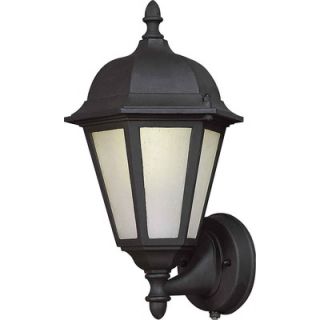Forte Lighting 13.25 One Light Outdoor Wall Lantern   17016 01 04