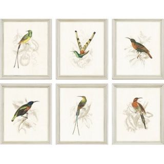  Hummingbirds by Jardine Traditional Art (Set of 6 )   11 x 13