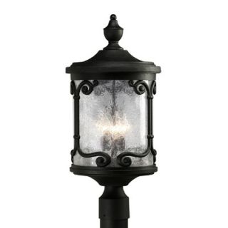  Acorn Style Outdoor Wall Lantern with Clear, Seeded Glass   P5762 19