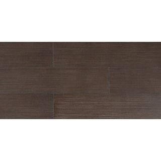 Daltile Timber Glen 6 x 24 Contemporary Field Tile in Espresso