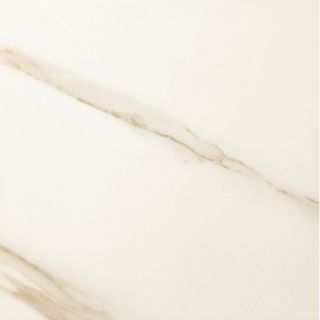 Timeless Collection 11 11/16 x 23 7/16 Field Tile in Calacatta Pearl
