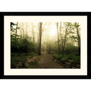  Trail by Andy Magee Framed Fine Art Print   28.62 x 38.62