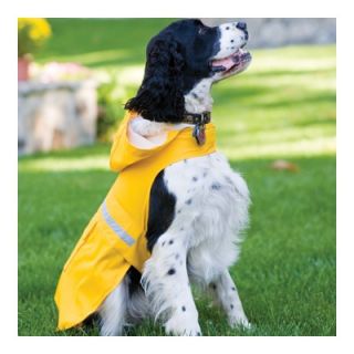 Petrageous Seattle Slicker Dog Raincoat in Yellow   101