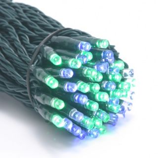 Mr. Light 100 LED Solar String Lights with Green Wire in Multicolor