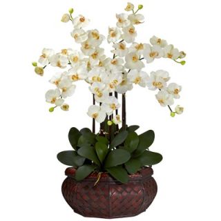 Nearly Natural Large Phalaenopsis Silk Flower Arrangement in Cream