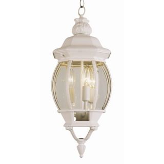 Outdoor Hanging Lantern in Mossoro Walnut with Silver   8264 161