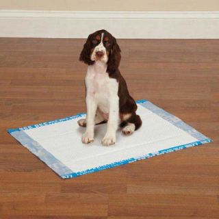 Clean Go Pet Super Absorbent Puppy Pads 400 Count   ZW193 40