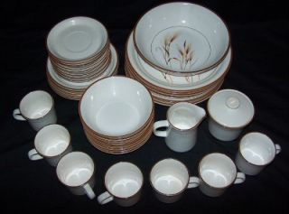 41 PC Nitto Overtones Harvest Song China Set Wheat