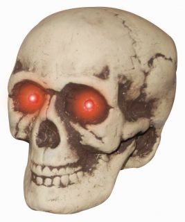  Halloween Decoration Bones Skeleton Head Prop Outdoor Indoor