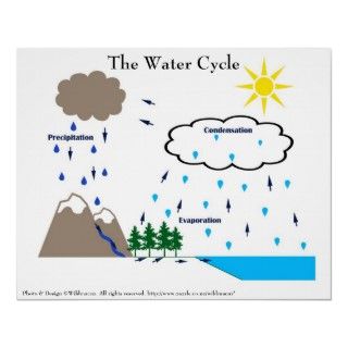 Who Discovered The Water Cycle 117