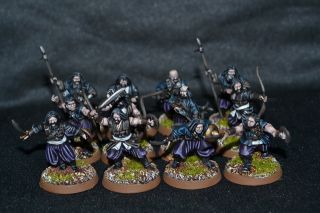 25mm The Lord of The Rings DPS Painted Harad and Umbar Corsairs of