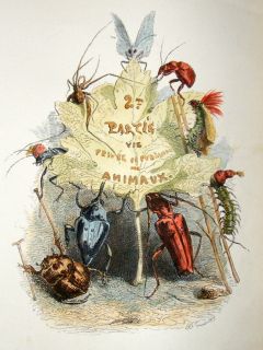 Grandville Des Animaux 1842 Hand Col Print Beetle Insect Title Page
