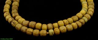 Hebron Cousins Wound Glass Yellow Trade Beads African SALE
