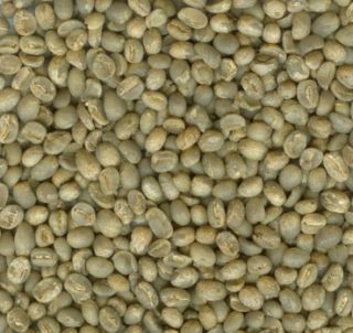 Villegas Brand Columbian Coffee Green Beans 20 Lbs