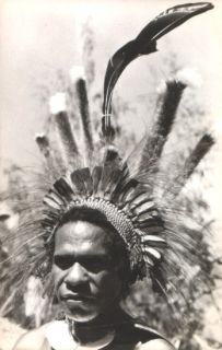 Native Man with Feather Head Dress New Guinea Old Photo