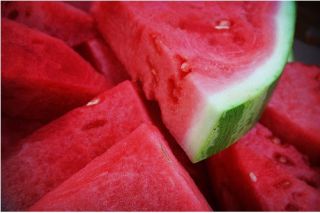  Fruit Seed Large Sweet Red Watermelon F1 Hybrid 2012 New Seeds