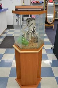 Hexagon 20 Gallon Fish Tank Aquarium with Stand