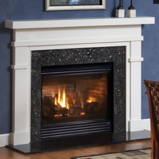  (Never Been Burned) HEATILATOR GC421E B VENT Natural Gas Fireplace