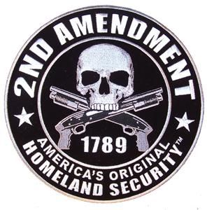  EMBROIDERIED 2nd AMENDMENT HOMELAND SECURITY PATCH protect GUNS #58