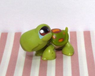 Littlest Pet Shop Turtle w Brown Eyes 8 Hasbro Toy Figure LPS