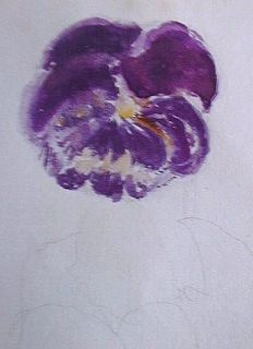 Double Sided Watercolor Painting c1900 Holly Berry Pansy French