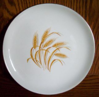Homer Laughlin China Golden Wheat Set of 2 Dinner Plates 9 1 4 In