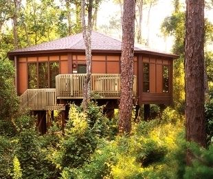 Disneys Saratoga Springs Resort Treehouse Villas + Discount COUPON