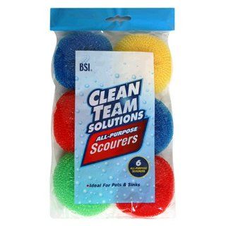 Clean Team Solutions Nylon Scourers, 36 Count Box (Pack of