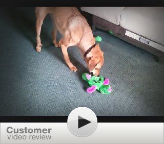 Customer Reviews: Kyjen Egg Babies Dog Toy, Original