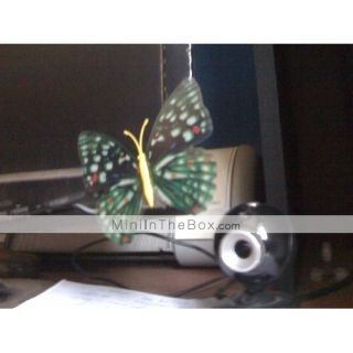 Glow in Dark Butterfly(Style Assorted)