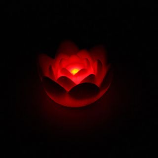 USD $ 1.89   Charming Lotus Shaped Colorful LED Night Light (3xAG13